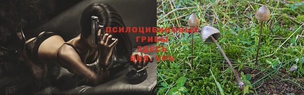 прущие крисы Строитель