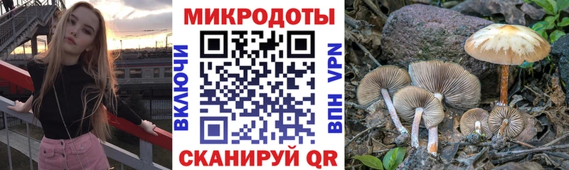 Галлюциногенные грибы Psilocybine cubensis  Высоковск 