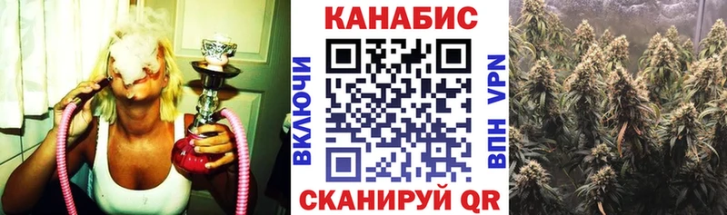 Шишки марихуана THC 21%  мориарти формула  Высоковск 